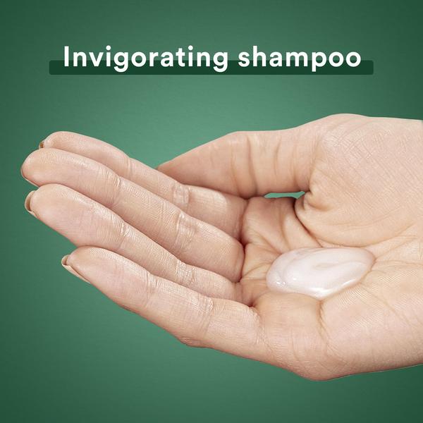 Imagem de Conjunto de shampoo e condicionador Suave Rosemary & Mint 375ml