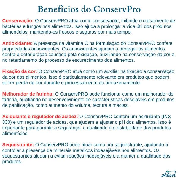 Conservante para Bebida ConservPRO Adicel - 1kg - Adicel Ingredientes Imagem de Conservante para Bebida ConservPRO Adicel - 1kg