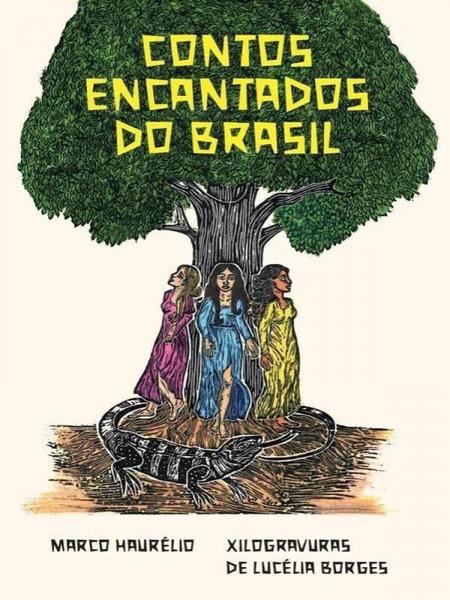 Imagem de Contos encantados do brasil