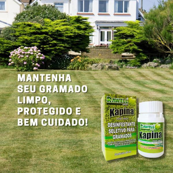 Imagem de Controla Tiririca Kapina 60ml Gramado Livre De Ervas Daninhas