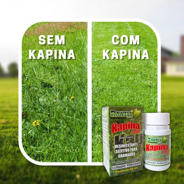 Imagem de Controla Tiririca Kapina Plus 60ml Kit 2UN Sem Folhas Largas