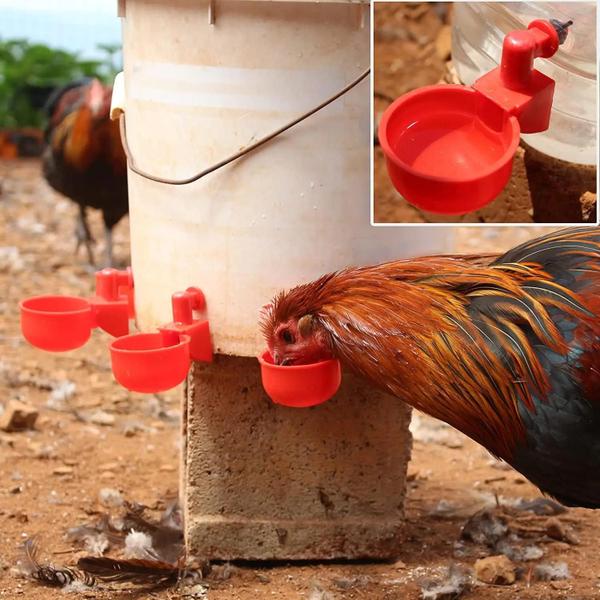 Imagem de Copos Automáticos para Água de Frango e Pato - 6 a 36 Peças - Alimentador de Plástico