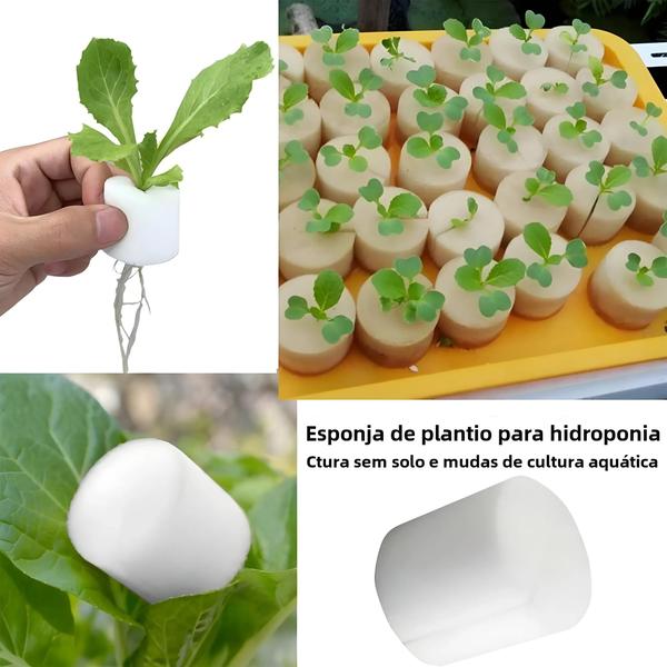 Imagem de Copos e Cilindros de Rede para Plantas de Orquídeas - 50 Peças de Plástico para Hidroponia e Aquaponia