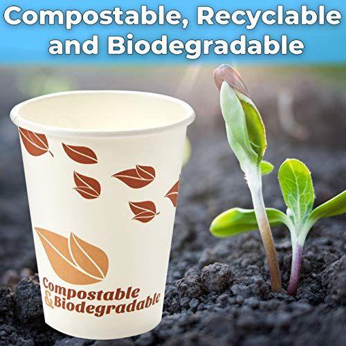 Imagem de Copos recicláveis e biodegradáveis para bebidas quentes de 12 onças, 100 unidades de canecas de papel compostáveis, agitadores de madeira e mangas de café de papelão. Conjunto de suprimentos de bebidas a granel de 12 onças perfeito para negócios o