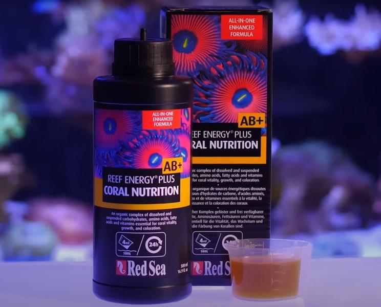 Imagem de Coral Food Red Sea Reef Energy Plus 500 ml para aquário de água salgada