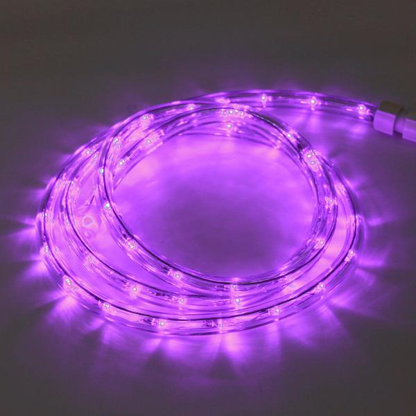 Corda Luminosa Taschibra Led Pro 13mm 2 Fios 30 Leds 110V - 5 Metros Imagem de Corda Luminosa Taschibra Led Pro 13mm 2 Fios 30 Leds 110V - 5 Metros
