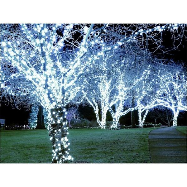 Imagem de Cordão Pisca 100 Led Prova Dágua Fixo Branco Frio Fio Transparente 10m Decor Natal 110v