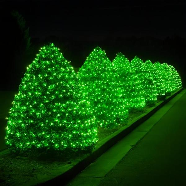 Imagem de Cordão Pisca 100 Led Prova Dágua Fixo Verde Fio Verde 10m Decor Natal 110v