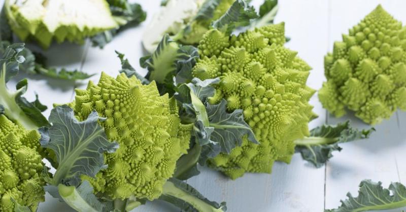 Imagem de Couve Flor Romanesco Kéfera - 600mg de Sementes