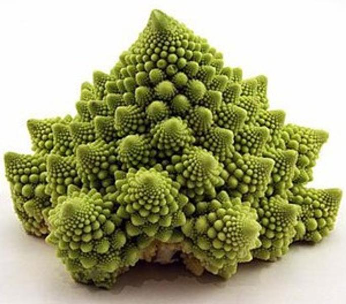 Imagem de Couve Flor Romanesco Kéfera - 600mg de Sementes