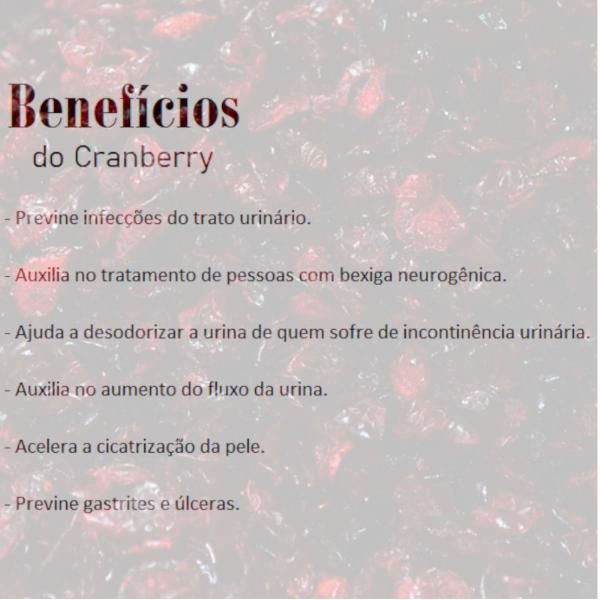 Cranberry Fruta Desidratado Premium 2kg - FullFit Imagem de Cranberry Fruta Desidratado Premium 2kg
