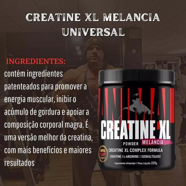 Imagem de Creatina Xl Powder Universal Nutrition 225g Sabor Melancia