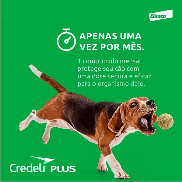 Imagem de Credeli Plus Antipulgas Para Cães de 5,5 a 11kg - 1 Comp