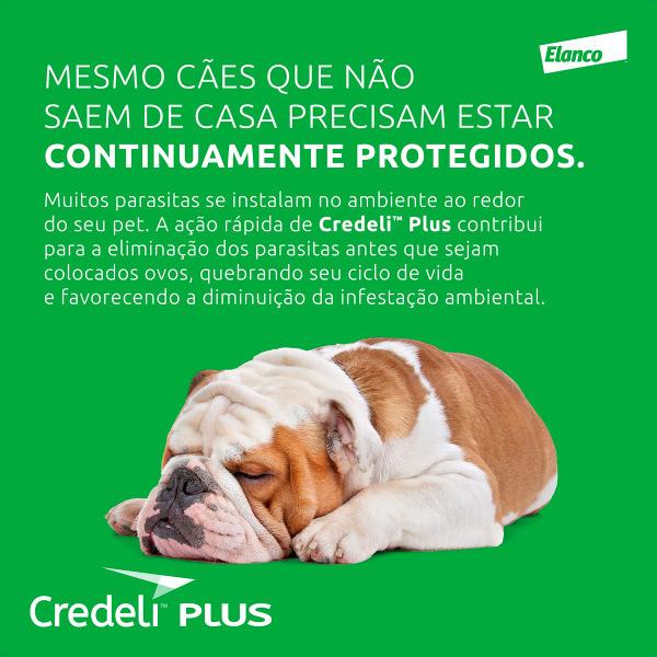 Imagem de Credeli Plus Elanco para Cães de 1,4 a 2,8kg - 1 Comprimido