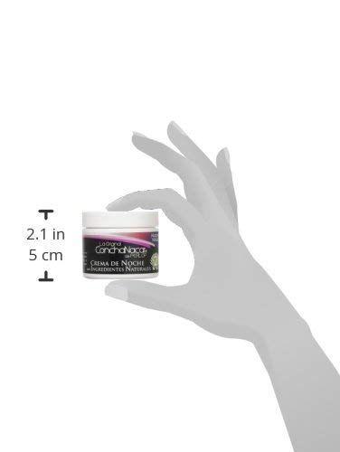 Creme de noite Concha Nacar No.2 60mL Imagem de Creme de noite Concha Nacar No.2 60mL
