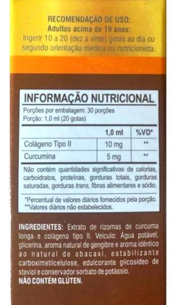 Imagem de Cúrcuma Com Colágeno Tipo 2 Melfort 30ml D