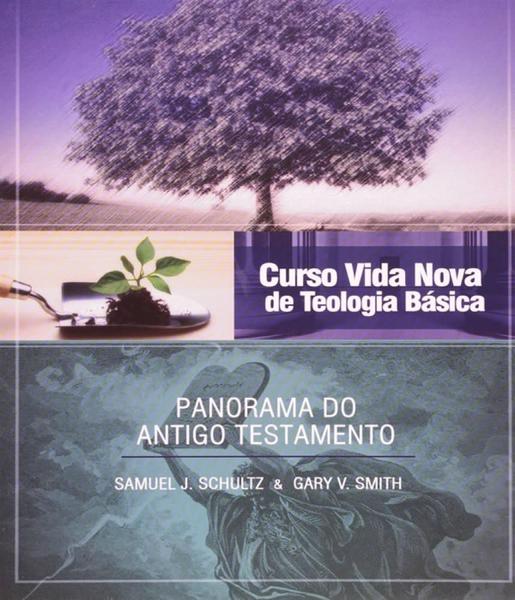 Imagem de Curso vida nova de teologia basica - panorama do antigo testamento - vol 02