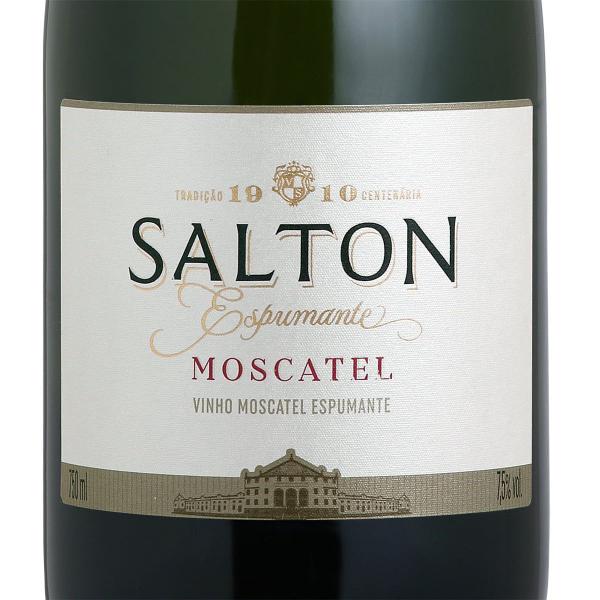 Imagem de Cx 6 Espumantes Salton Moscatel Branco Serra Gaúcha 750 ml