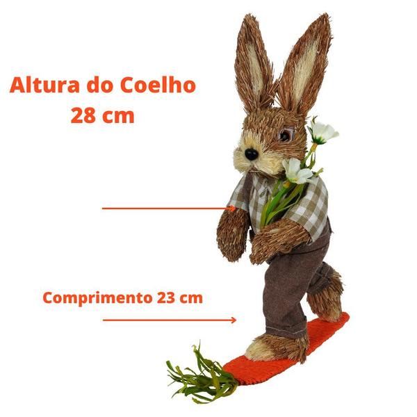 Imagem de Decoração Coelho de Páscoa Fibra de Sisal Surfista