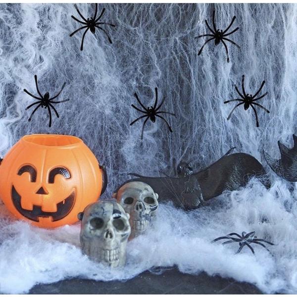 Imagem de Decoração De Halloween Teia De Aranha