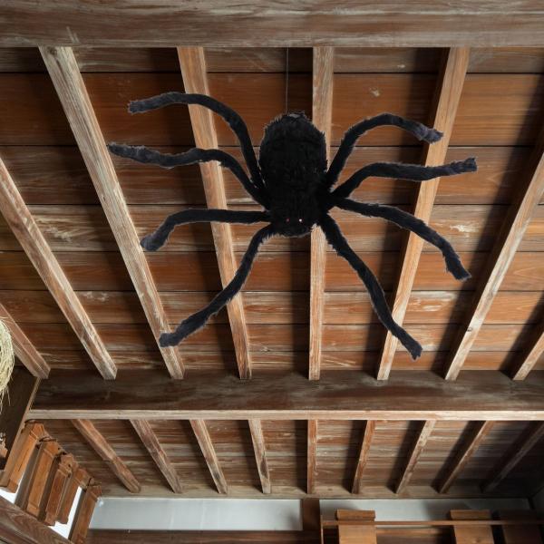 Imagem de Decoração Halloween Aranha Tailandesa Movimento e Som