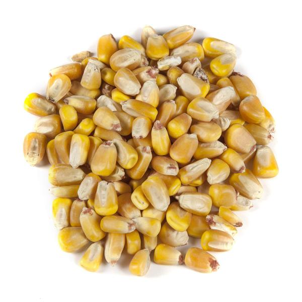 Imagem de Deer Corn Manna Pro Top Score 18,14 kg de nutrição premium