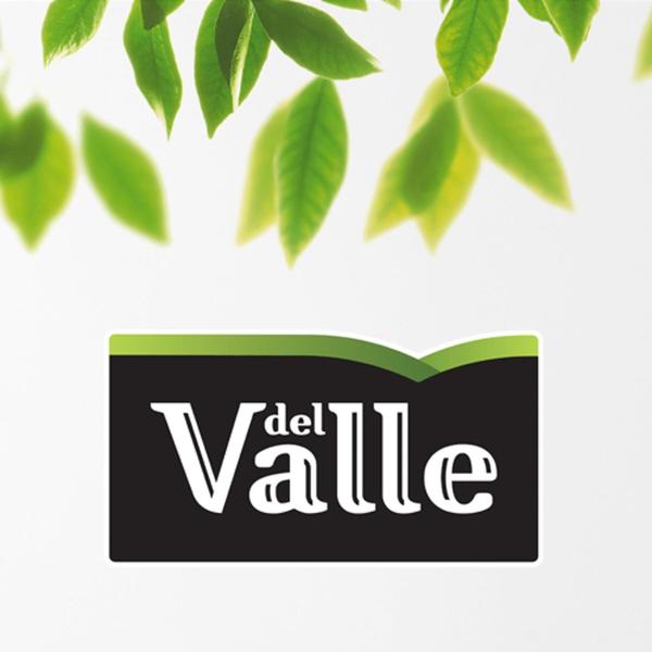 Imagem de Del Valle Pêssego Lata 290Ml (6 Latas)