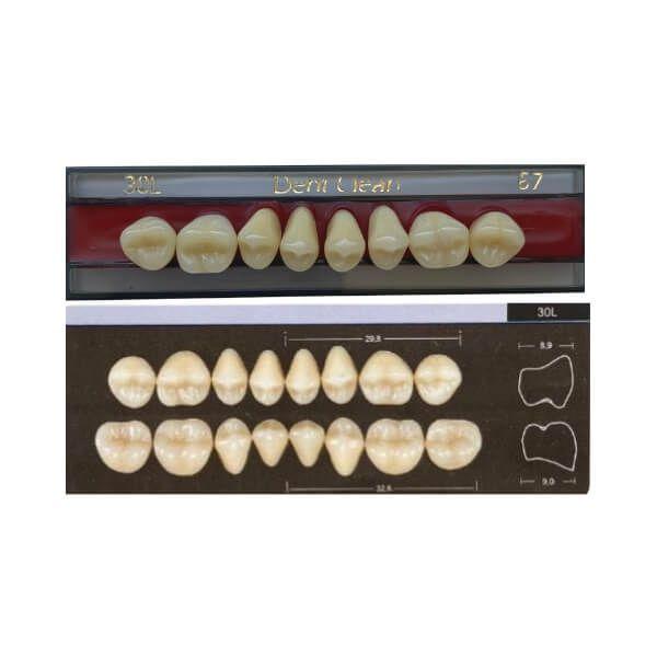 Imagem de Dente Dent Clean Posterior 30L Superior - Imodonto