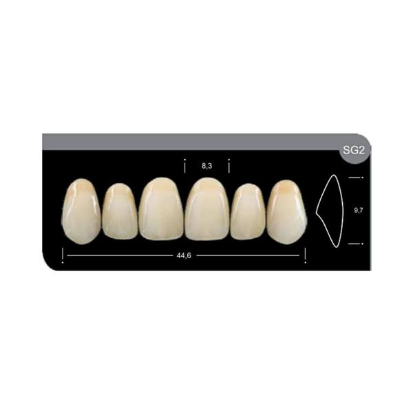 Imagem de Dente Platinum Tri 03 Camadas Anterior SG2 Superior-Imodonto