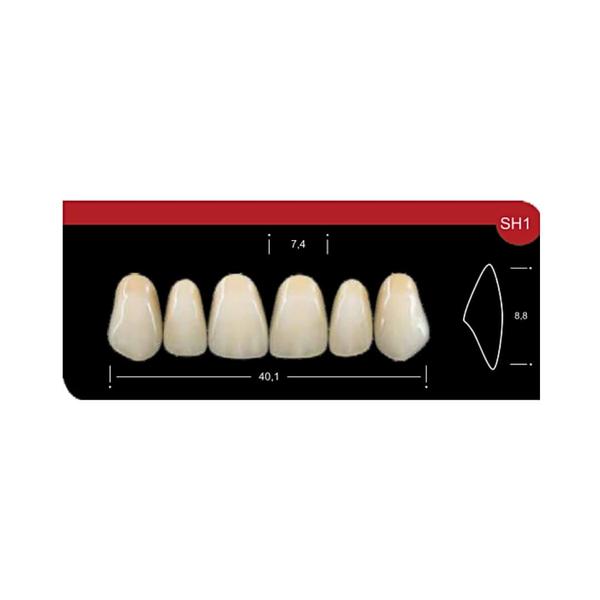 Imagem de Dente Platinum Tri 03 Camadas Anterior SH1 Superior-Imodonto