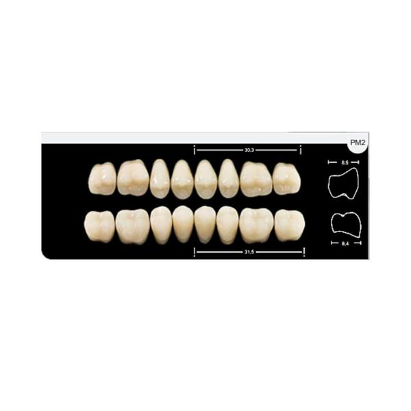 Imagem de Dente Platinum Tri03 Camadas Posterior PM2 Superior-Imodonto