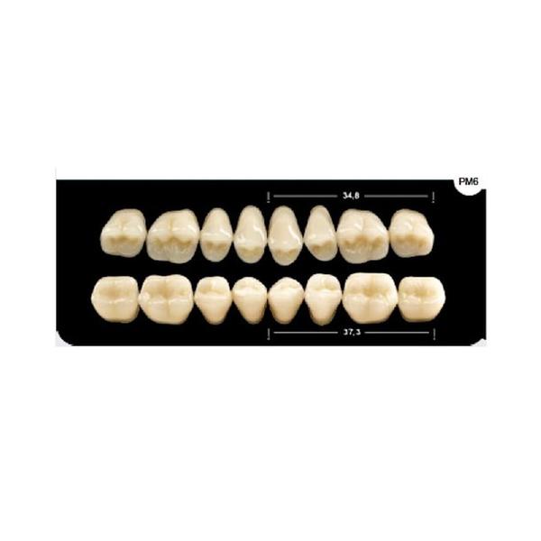 Imagem de Dente Platinum Tri03 Camadas Posterior PM6 Superior-Imodonto