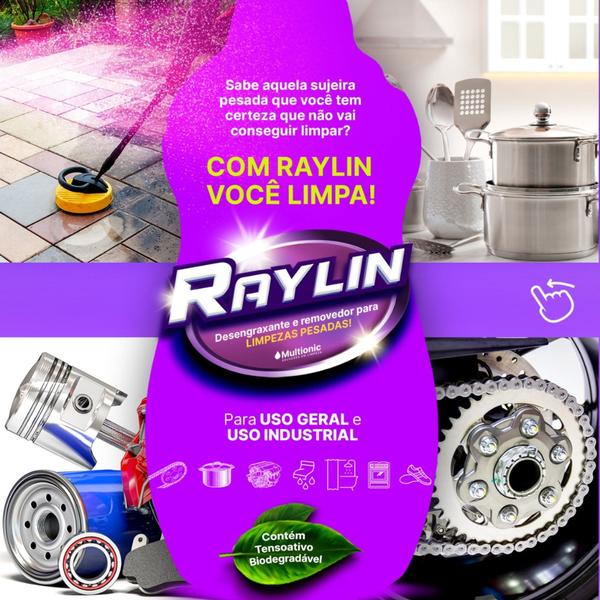 Imagem de Desengraxante e Removedor Raylin 1L Limpeza Sujeira Pesada