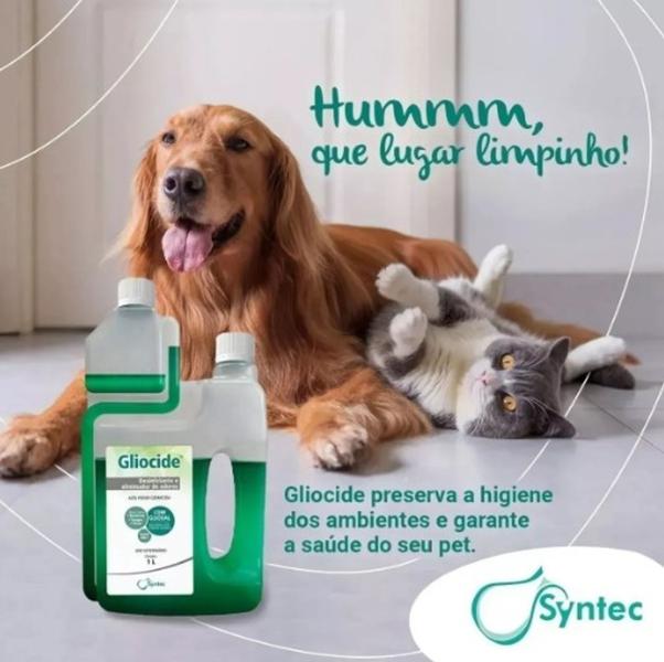 Imagem de Desinfetante Bactericida Gliocide 1l Syntec