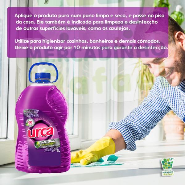 Imagem de Desinfetante Pinho Urca 5 Litros Lavanda Antibac Limpeza