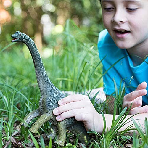 Imagem de Dinossauros Schleich, Brinquedos de Dinossauro, Brinquedos de Dinossauro para Meninos e Meninas de 4 a 12 anos, Braquiossauro , Verde