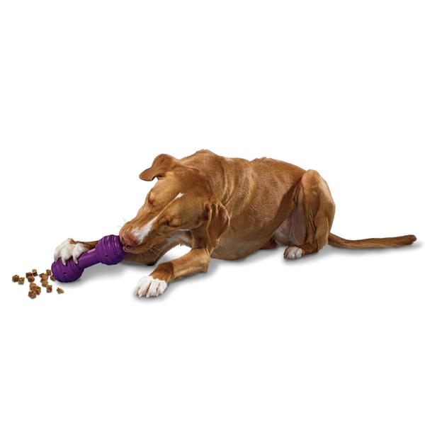 Imagem de Dog Chew Toy PetSafe Busy Buddy Chuckle Sound Treat Dispensador