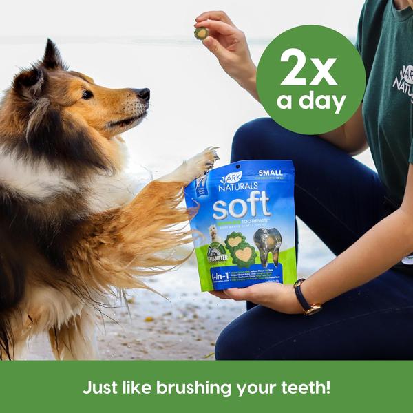 Imagem de Dog Dental Chews ARK NATURALS Creme dental macio sem escova