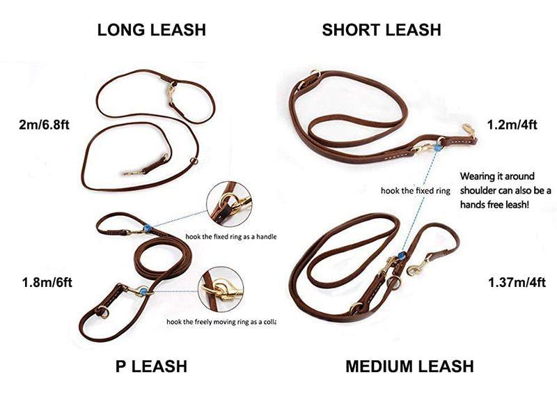 Dog Leash Wokex, couro genuíno, treinamento sem usar as mãos Imagem de Dog Leash Wokex, couro genuíno, treinamento sem usar as mãos