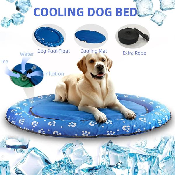 Imagem de Dog Pool Float Vercico, novo para cães pequenos, médios e grandes