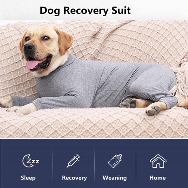 Imagem de Dog Recovery Suit Pinellia Abdominal Wound após cirurgia