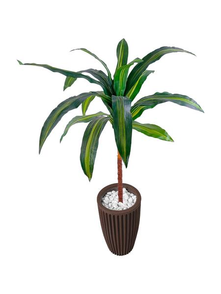 Imagem de Dracena Planta Artificial Muda Variegata Vaso Decorção