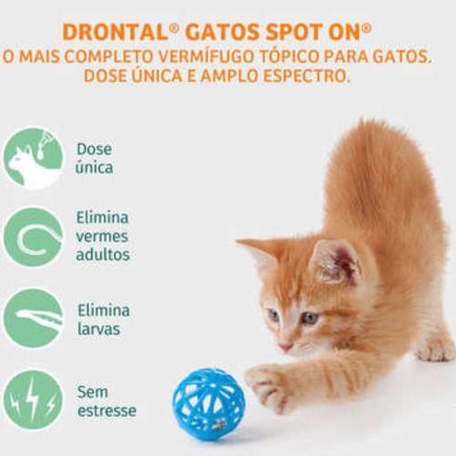 Imagem de Drontal Gatos Spot On 0,35ml Vermífugo 0,5-2,5kg Bayer