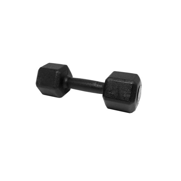 Imagem de Dumbbell 18kg Viking - Peso e Qualidade