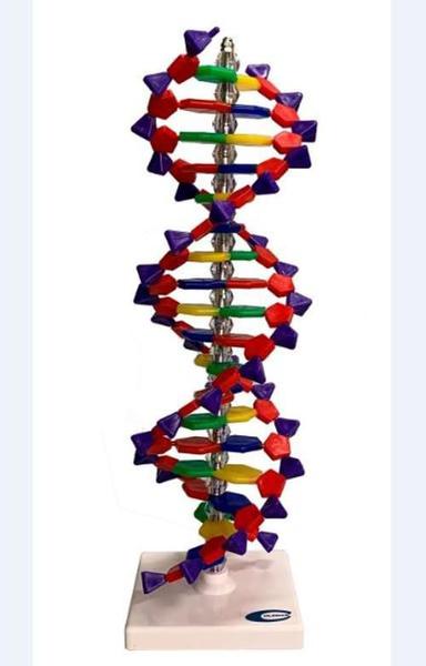 Imagem de Dupla Hélice De Dna De 40Cm