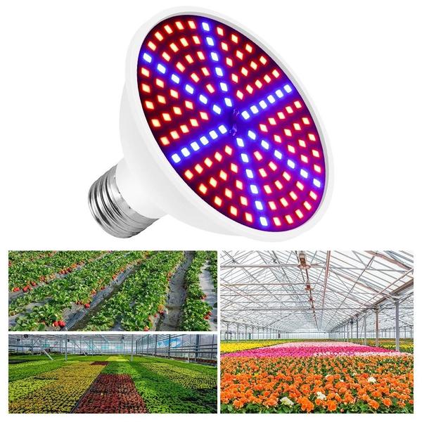 Imagem de E27 Espectro Completo LED Cresce Lâmpada Para Cultivo De Plantas Internas Sementes De Flores