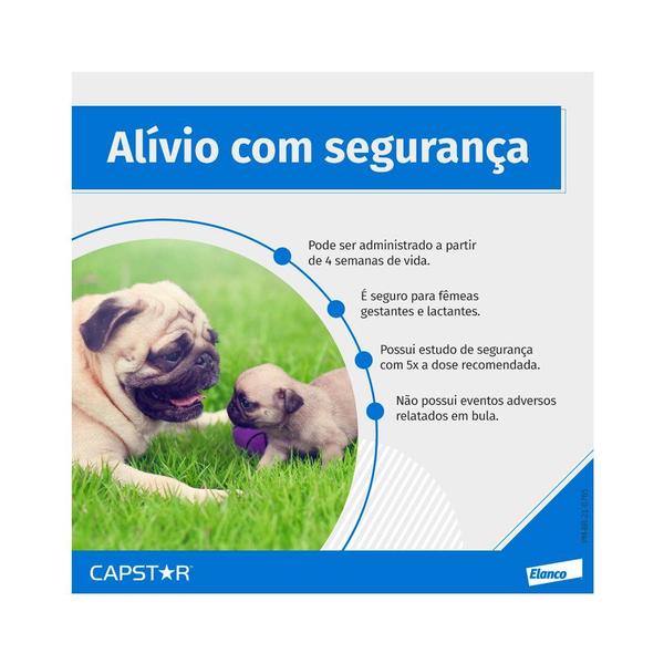 Imagem de Elanco Capstar Antipulgas Cães Peq/Gatos (1-11,4kg) 6 Comps.