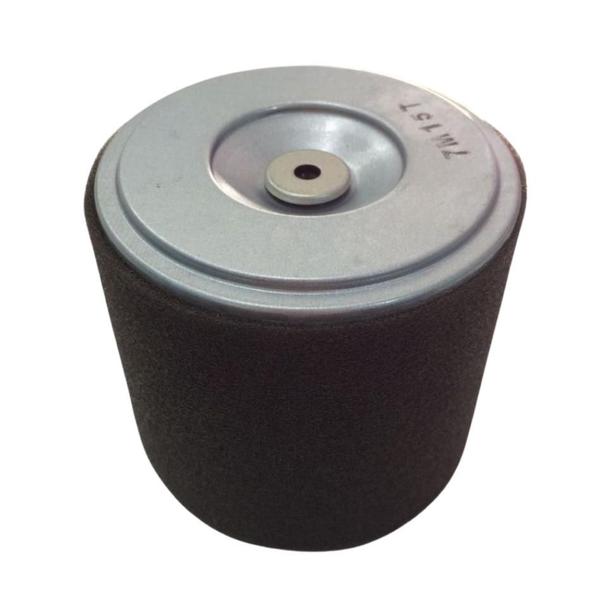 Imagem de Elemento Filtro De Ar Motor Honda GX160 Cyclone Original