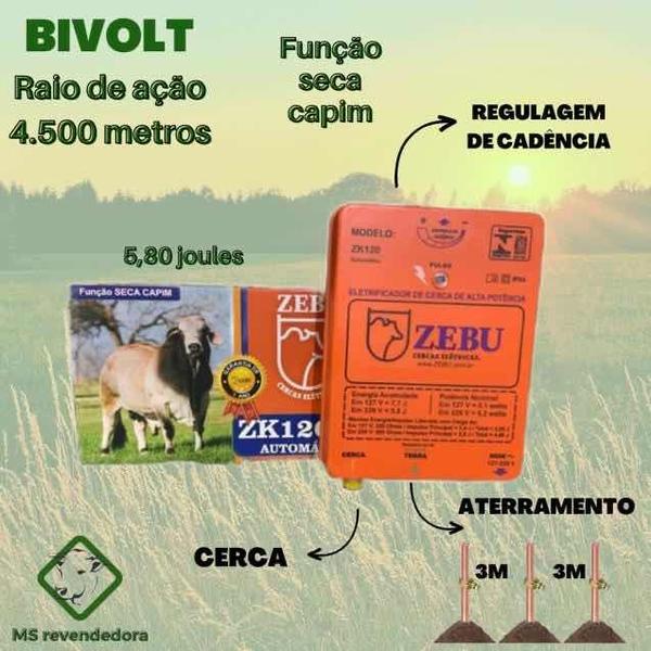 Imagem de Eletrificador De Cerca Zebu 120km  Bivolt Seca Capim