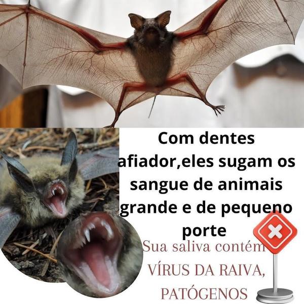 Imagem de Elimina Repele Pardal Maritaca Morcego Pombo Xo Passaro Casa